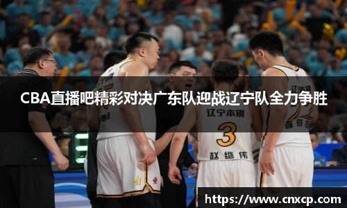 333官网